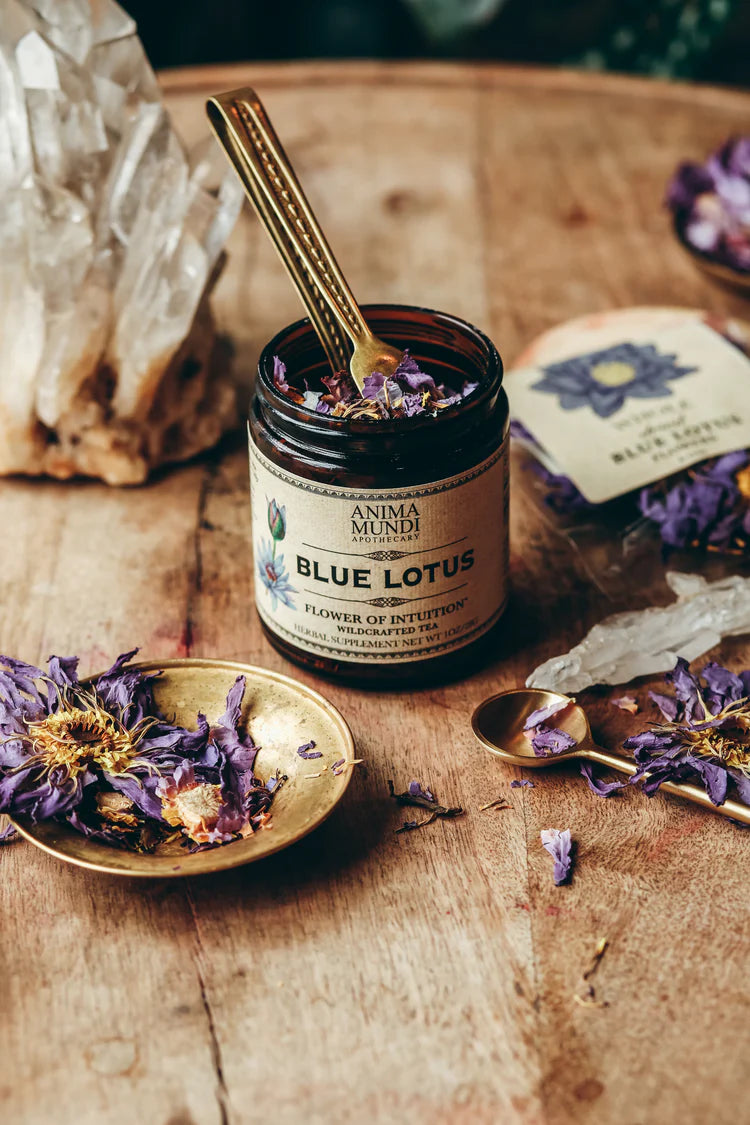 Anima Mundi Apothecary: Blue Lotus - Flower of Intuition