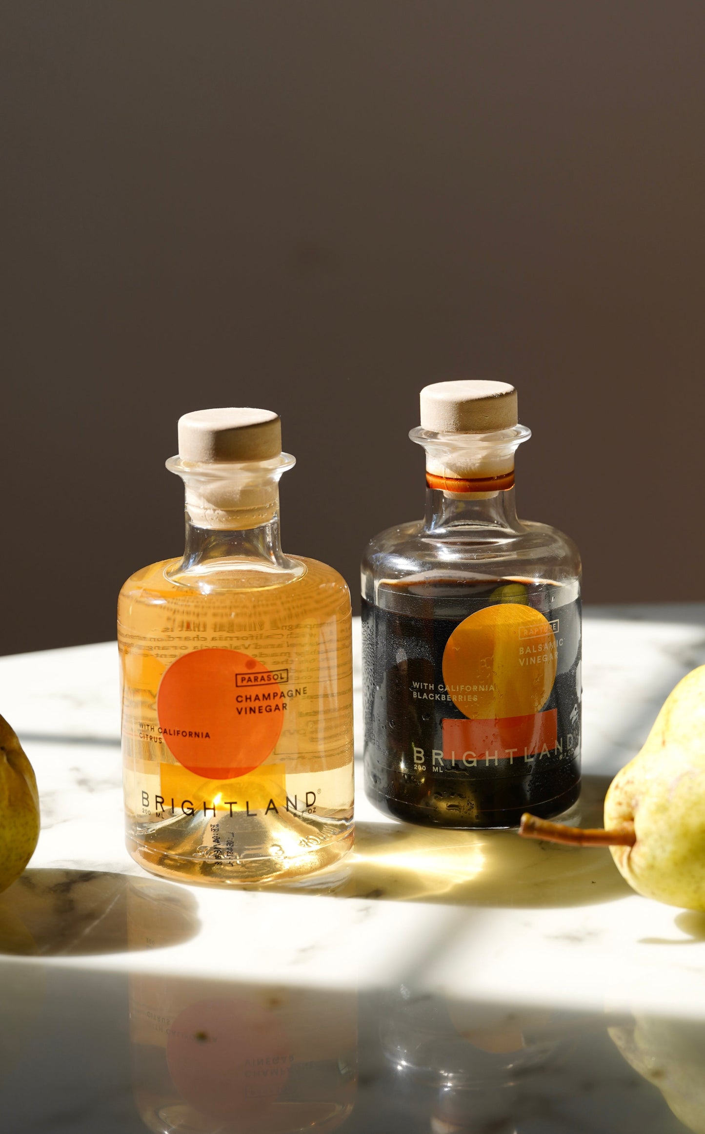 The Vinegar Duo