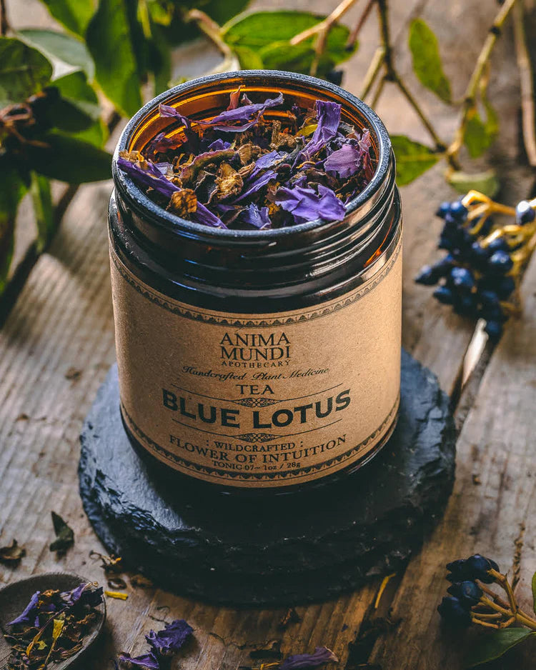 Anima Mundi Apothecary:  Blue Lotus - Flower of Intuition